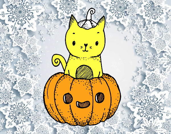 Un gatito de Halloween