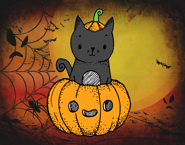 Un gatito de Halloween