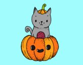 Un gatito de Halloween