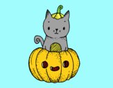 Un gatito de Halloween