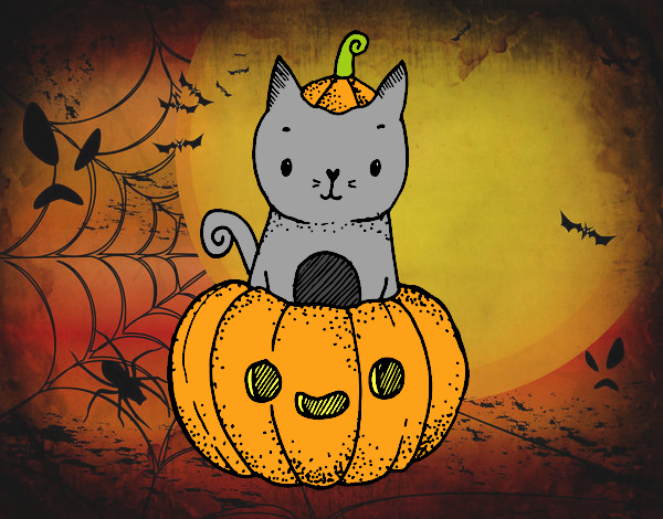 Un gatito de Halloween