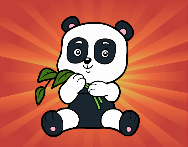 Un oso panda