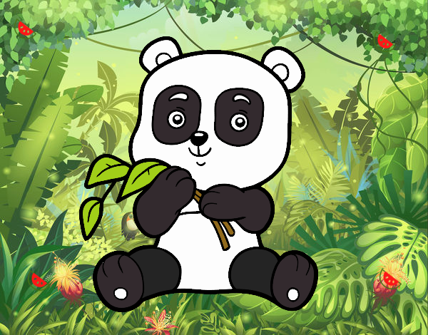 Un oso panda