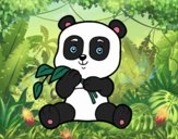 Un oso panda