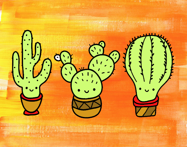 3 mini cactus