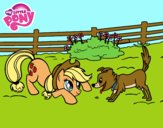 Applejack y Winona