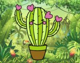 Cactus corazón