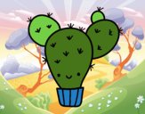 Cactus nopal