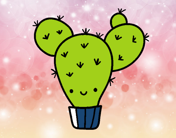 Cactus nopal