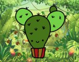 Cactus nopal