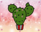 Cactus nopal