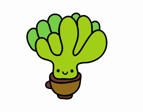 cactus feliz