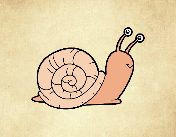 El caracol