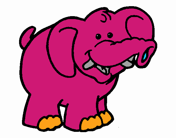 Elefante 6