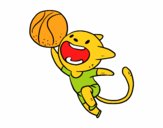 Gato jugando a baloncesto