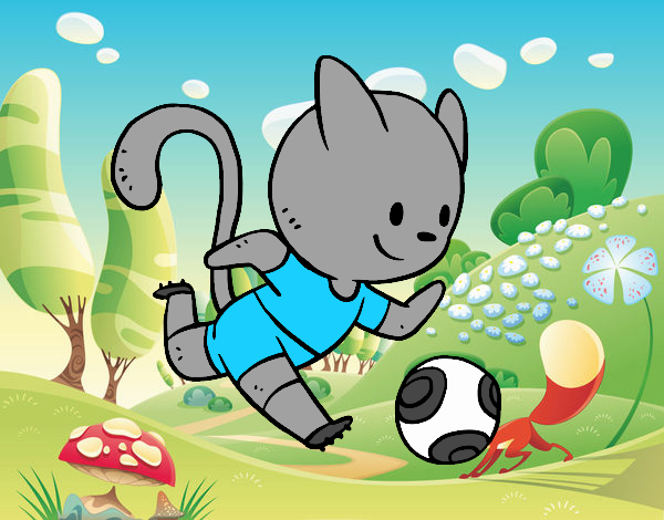 Gato jugando a fútbol