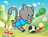 Gato jugando a fútbol