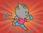 Gato runner