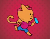 Gato runner