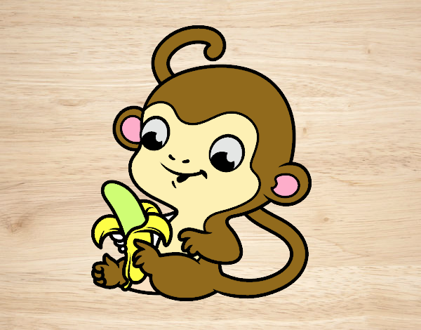 monito monito