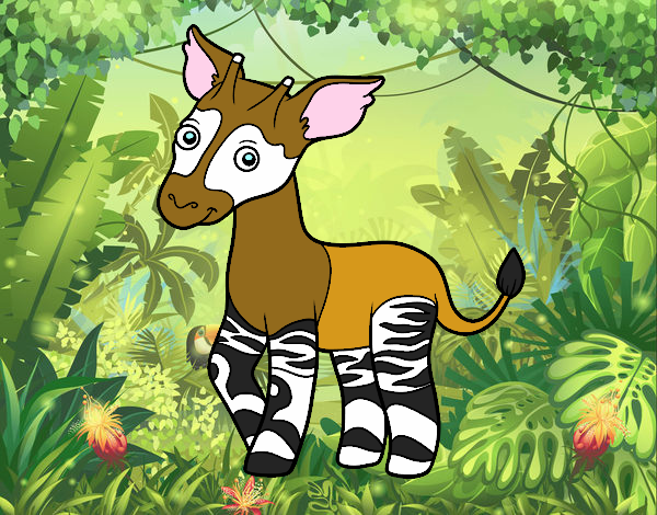 Okapi