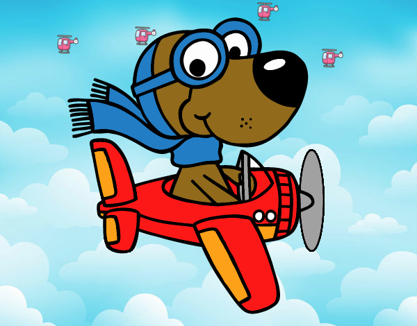 Perro piloto