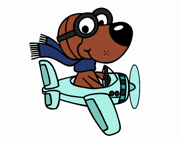 Perro piloto