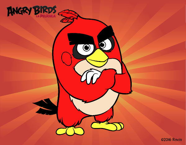 Red de Angry Birds