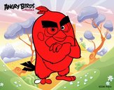 Red de Angry Birds