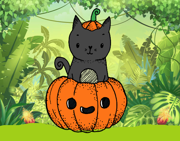 Un gatito de Halloween