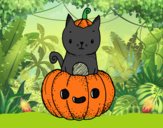 Un gatito de Halloween