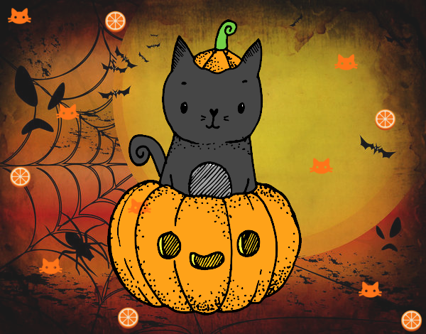 gatito en halloween