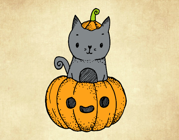 gatito y calabaza  