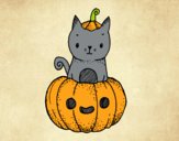 Un gatito de Halloween