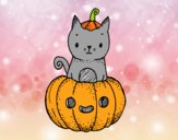 Un gatito de Halloween