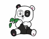 Un oso panda