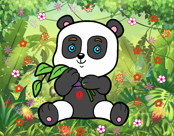 Un oso panda