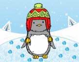 Bebé pingüino con gorrito