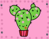 Cactus nopal