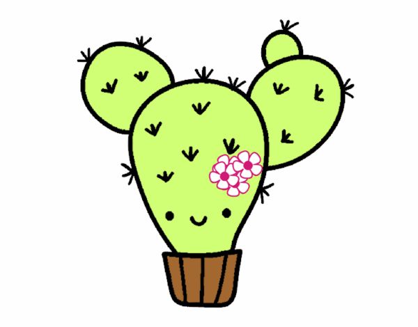 Cactus nopal