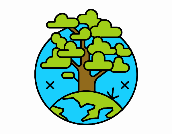 Circulo árbol 