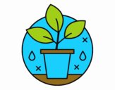 Cultivo Ecológico