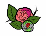 Dos rosas