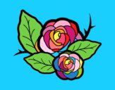 Dos rosas