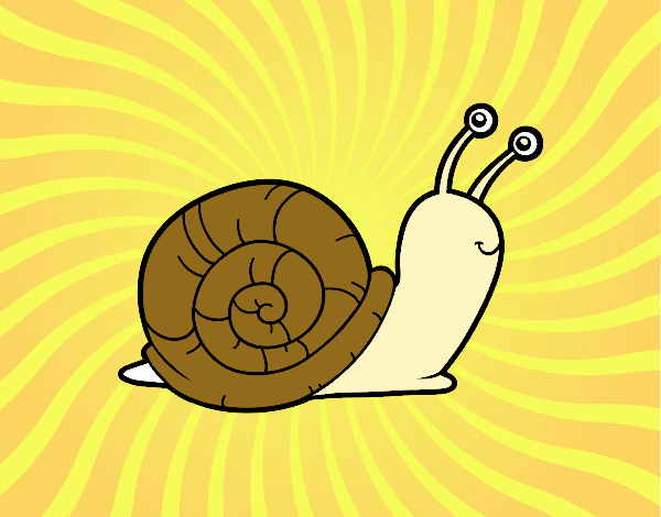 El caracol