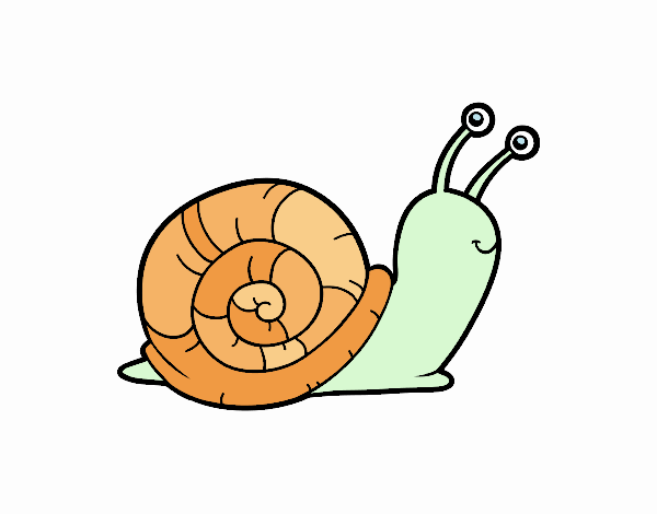 El caracol