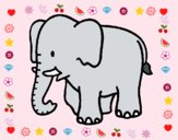 Elefante bebe