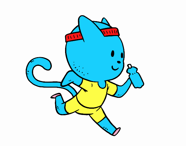 Gato runner