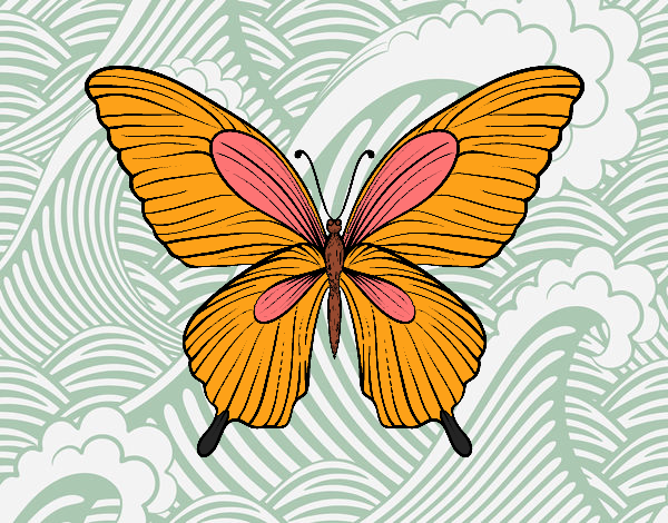 Mariposa