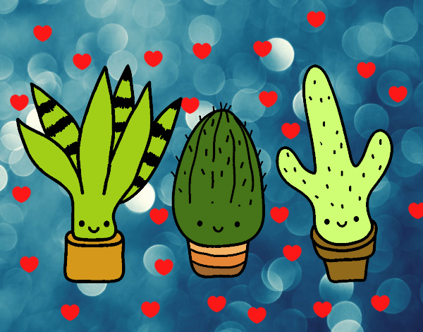 Los mejores amigos cactus